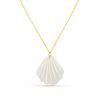 Statement Resin Shell Long Necklace